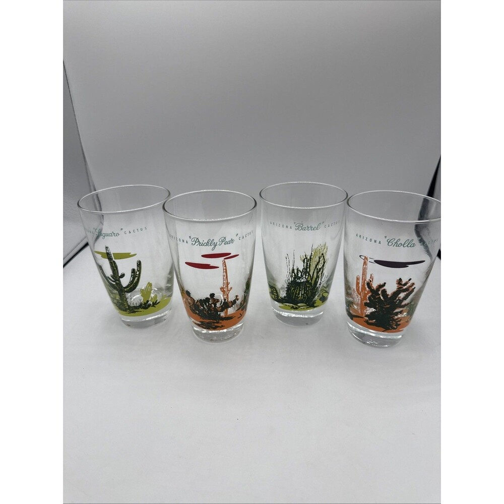 Blakely Oil Arizona Cactus Tumblers Set 4 Cholla Saguaro Barrel Prickly